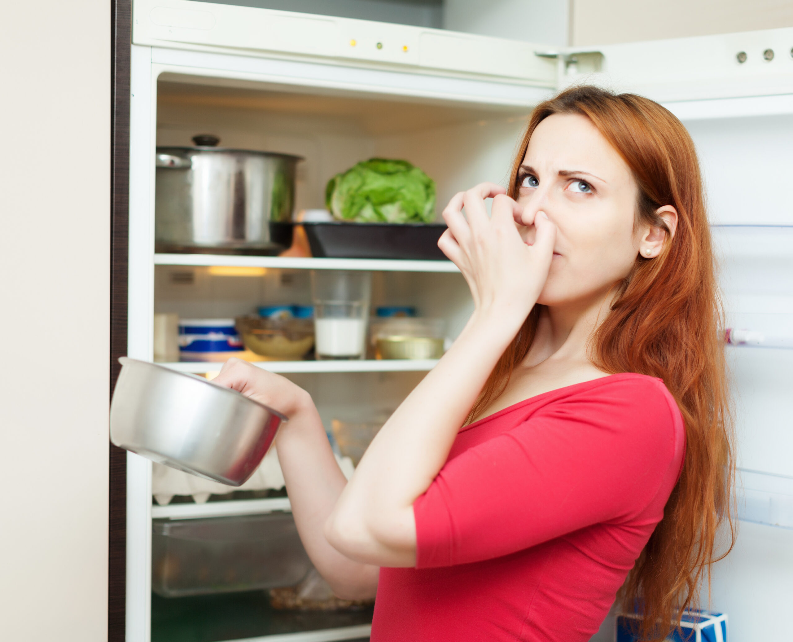 fridge smell oders scaled